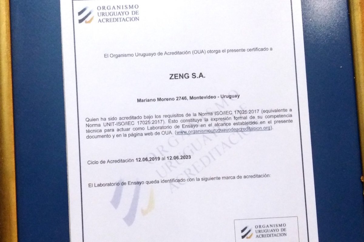 certificado5-1200x800.jpg